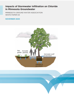 image of cover for white paper