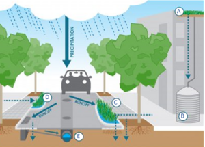 Schematic Treatment train: green roof (a) to rain barrel (b) to permeable pavement (c) to bioretention (d) to storm sewer (e)