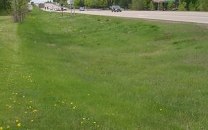 photo of a dry swale