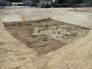 image of erosion and sparse vegetation in infiltration practice